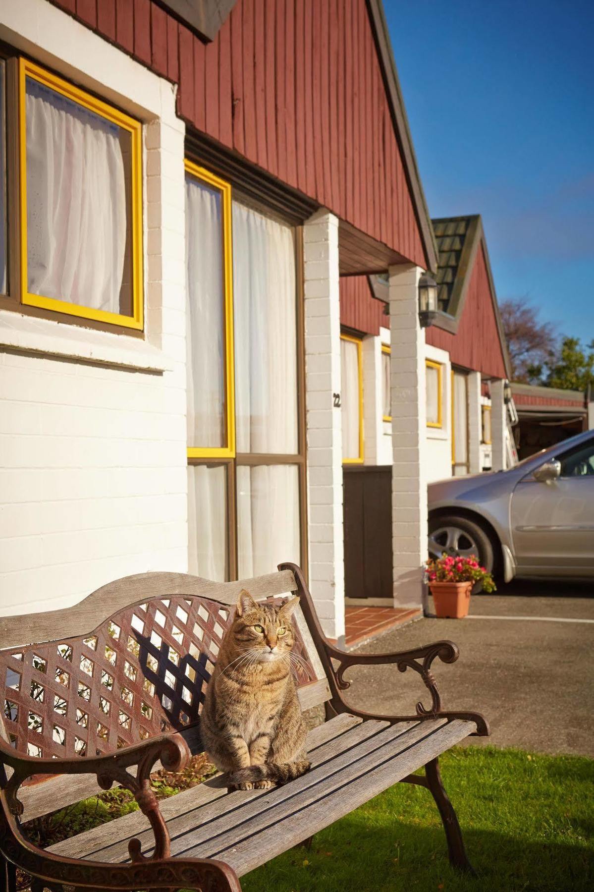 Bavarian Motel Invercargill Zewnętrze zdjęcie